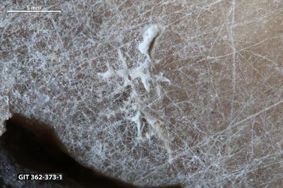 <i></i><br />Harku quarry,  m, Kunda Stage