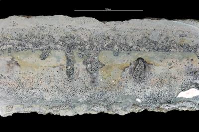 <i></i><br />Uuga Cliff 1, Parki peninsula,  m, Volkhov Stage