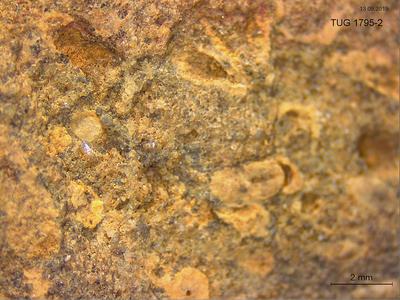 https://files.geocollections.info/large/6f/cc/6fcc097e-ce19-4d5b-98df-1c861e4651b4.jpg