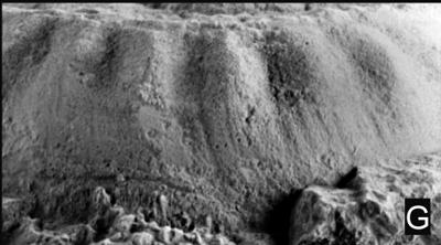https://files.geocollections.info/large/6f/fa/6ffad57d-2bfe-446d-971c-1f55867d2402.jpg