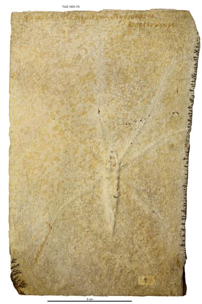 https://files.geocollections.info/large/70/5c/705cb6a6-68c8-463a-9d52-92fe8c2fa512.jpg