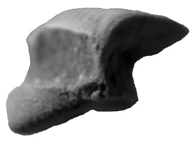 https://files.geocollections.info/large/71/07/7107ea53-b3a0-405b-b6ae-6d6f3701a34b.jpg