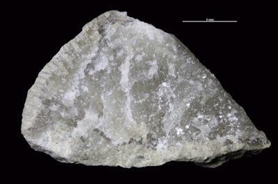 https://files.geocollections.info/large/71/23/71239785-fc52-436e-83b4-4e136d6f8a1a.jpg