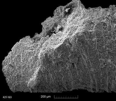 https://files.geocollections.info/large/72/47/7247e9f8-b373-4feb-a72e-d891db1455d2.jpg