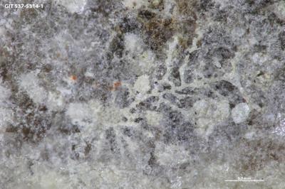 <i></i><br />Osmussaar,  m, Uhaku Stage