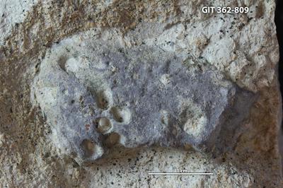 <i></i><br />Harku quarry,  m, Volkhov Stage