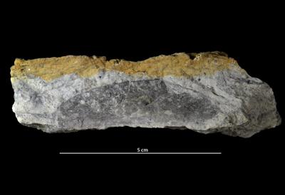 <i></i><br />Käriselja Trench,  m, Adavere Stage