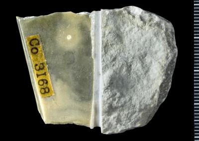 https://files.geocollections.info/large/73/30/7330a142-afa0-4712-8ca7-e3dd240c0fae.jpg