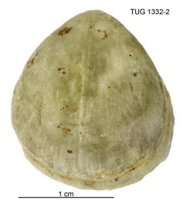 https://files.geocollections.info/large/73/f7/73f77058-6bde-4051-ac04-f18bb55a8f84.jpg