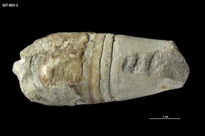 https://files.geocollections.info/large/74/49/7449623c-efef-4988-af79-c7a0d5048c75.jpg