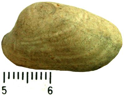https://files.geocollections.info/large/74/ef/74efe3bf-e555-4e78-b86f-110729864e37.jpg