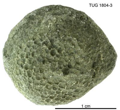 https://files.geocollections.info/large/74/f8/74f8f50c-9320-4f26-82af-bd7e17ee9ed7.jpg