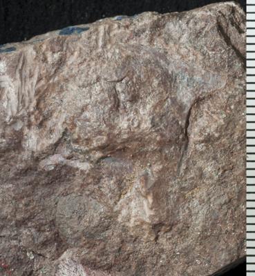 https://files.geocollections.info/large/75/2d/752d674a-288b-41bf-b14d-50f4701695ac.jpg