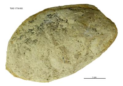 https://files.geocollections.info/large/75/62/75626910-1978-460e-9e69-a41459c52086.jpg