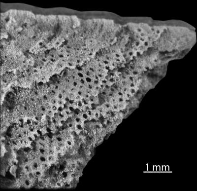 https://files.geocollections.info/large/75/63/75633e2f-8889-4f80-9302-3b3c9da70f4d.jpg