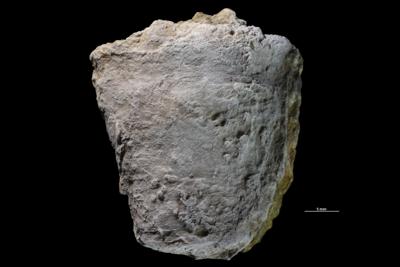 https://files.geocollections.info/large/75/6d/756daa6c-e35b-42a3-bec9-3fbe9a96f6c3.jpg