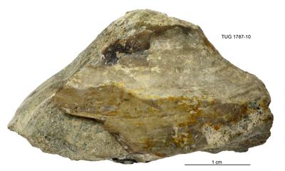 https://files.geocollections.info/large/75/6f/756fed3c-aacc-471a-a431-e8bfbed68119.jpg