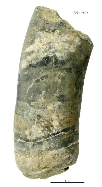 https://files.geocollections.info/large/75/7d/757d03b6-e6de-4f2a-a41a-11f15962a93c.jpg