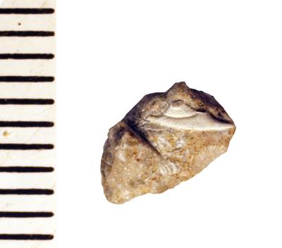 https://files.geocollections.info/large/75/91/759120ac-abac-4cc7-b843-5a52be0df258.jpg