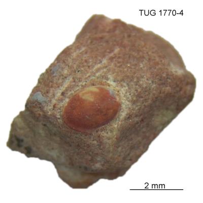 https://files.geocollections.info/large/76/04/7604ef7e-9521-4558-aa76-6dd70fb5fbdc.jpg