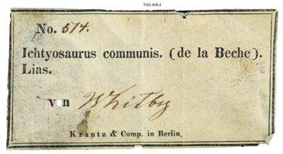 https://files.geocollections.info/large/76/3e/763e2188-1c1d-474e-b1d5-91d9c95c8ce3.jpg