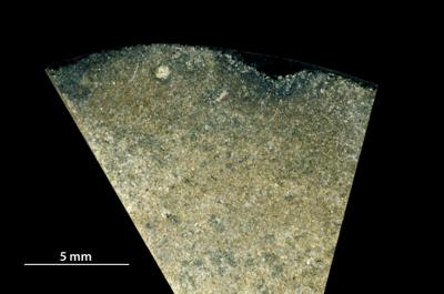 <i>Trypanites isp.</i><br />,  m, Furongian