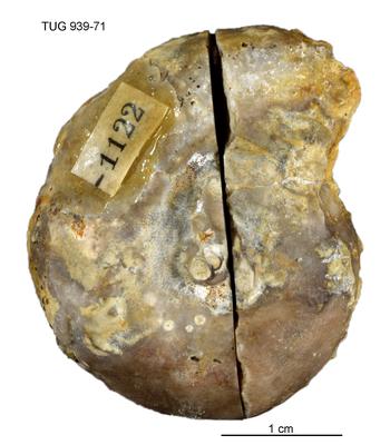 https://files.geocollections.info/large/77/18/771812ac-7073-4757-ad18-35f17e13c397.jpg