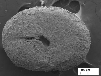 https://files.geocollections.info/large/77/3e/773e7a95-0e90-443c-97fe-a3a0f7a06aa6.jpg