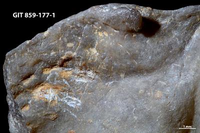 <i></i><br />Tahula,  m, Kaugatuma Stage