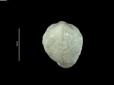 https://files.geocollections.info/large/77/bc/77bc20d2-5964-4d61-82cb-08ee7f43fee9.jpg