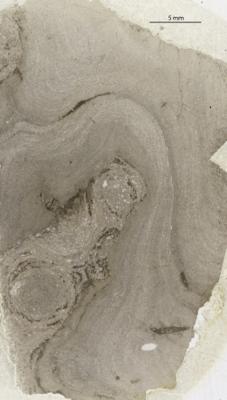 https://files.geocollections.info/large/77/bd/77bd4c03-0b05-4418-8eff-2f8cadc760ec.jpg