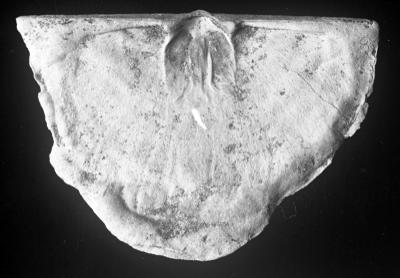 https://files.geocollections.info/large/77/f2/77f2c0e6-6479-4591-b607-052594155873.jpg