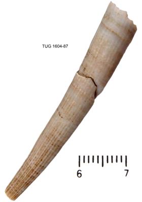 https://files.geocollections.info/large/78/47/7847ce66-3a34-4c8f-8475-d8bfdf8ffd1a.jpg