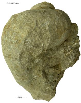 https://files.geocollections.info/large/78/76/78769b39-ca36-49b6-8795-d84e307e5881.jpg