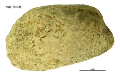 https://files.geocollections.info/large/78/f1/78f1f336-afd0-4694-97ff-a3eea17dacbd.jpg