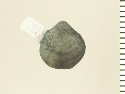 https://files.geocollections.info/large/79/d2/79d2883c-b4e0-4f6d-bf86-c3ed4e3cc8de.jpg