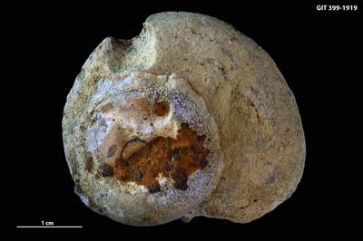 https://files.geocollections.info/large/7a/9c/7a9c1563-ed5c-4c90-933a-4dec5203e980.jpg