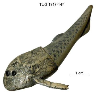 https://files.geocollections.info/large/7c/1b/7c1b42c2-410f-4b44-b654-8bd83f760abd.jpg