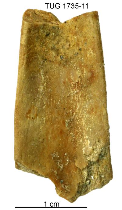 https://files.geocollections.info/large/7c/73/7c731820-269b-4a10-847d-f75e9251ea00.jpg