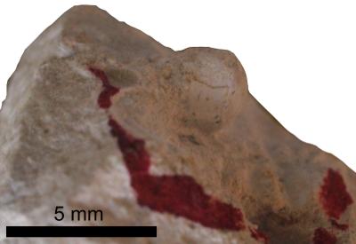 https://files.geocollections.info/large/7c/b0/7cb0f985-dd9f-4e76-b91a-7cbe9b8bdf1e.jpg