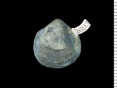 https://files.geocollections.info/large/7d/7b/7d7bffb7-0057-4ddf-9fb8-b4639dd0f8a3.jpg