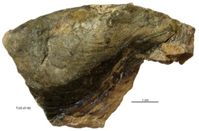 https://files.geocollections.info/large/7d/9d/7d9df9f0-4e96-48da-a673-f0497f78944c.jpg