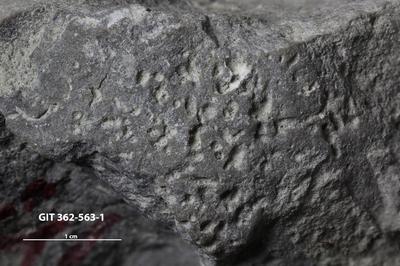 <i></i><br />Ohesaare cliff,  m, Ohesaare Stage