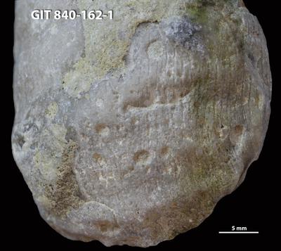 <i></i><br />Hosholm shore,  m, Pirgu Stage