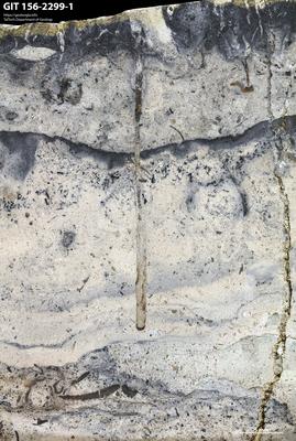 <i></i><br />Nabala 16 borehole, 6.65 m, Rakvere Stage