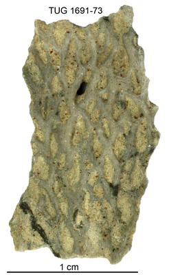 https://files.geocollections.info/large/7e/7f/7e7f8fc0-beac-44c3-945b-cd838ab0b868.jpg