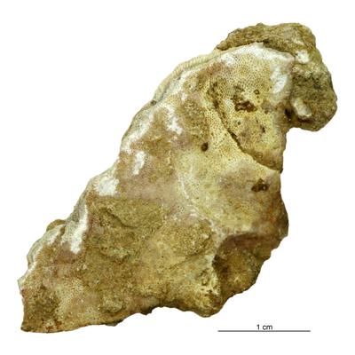 https://files.geocollections.info/large/7e/a2/7ea2cfa5-7314-4400-b7eb-782a76ebe1b5.jpg