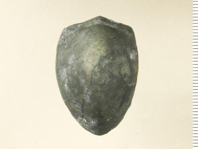 https://files.geocollections.info/large/7f/35/7f35bd4e-a5e9-4acf-945b-7a7a6bdb00fd.jpg