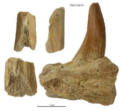 https://files.geocollections.info/large/7f/3e/7f3e1143-7c5d-49de-a891-4f5a970e10f3.jpg