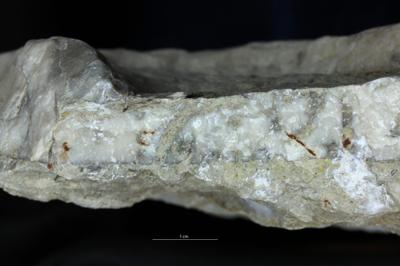 <i></i><br />Saxby shore,  m, Vormsi Stage